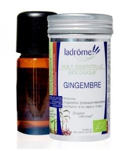 Gingembre (Zingiber officinale)